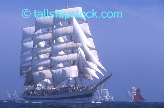 Tall_ships_race_01